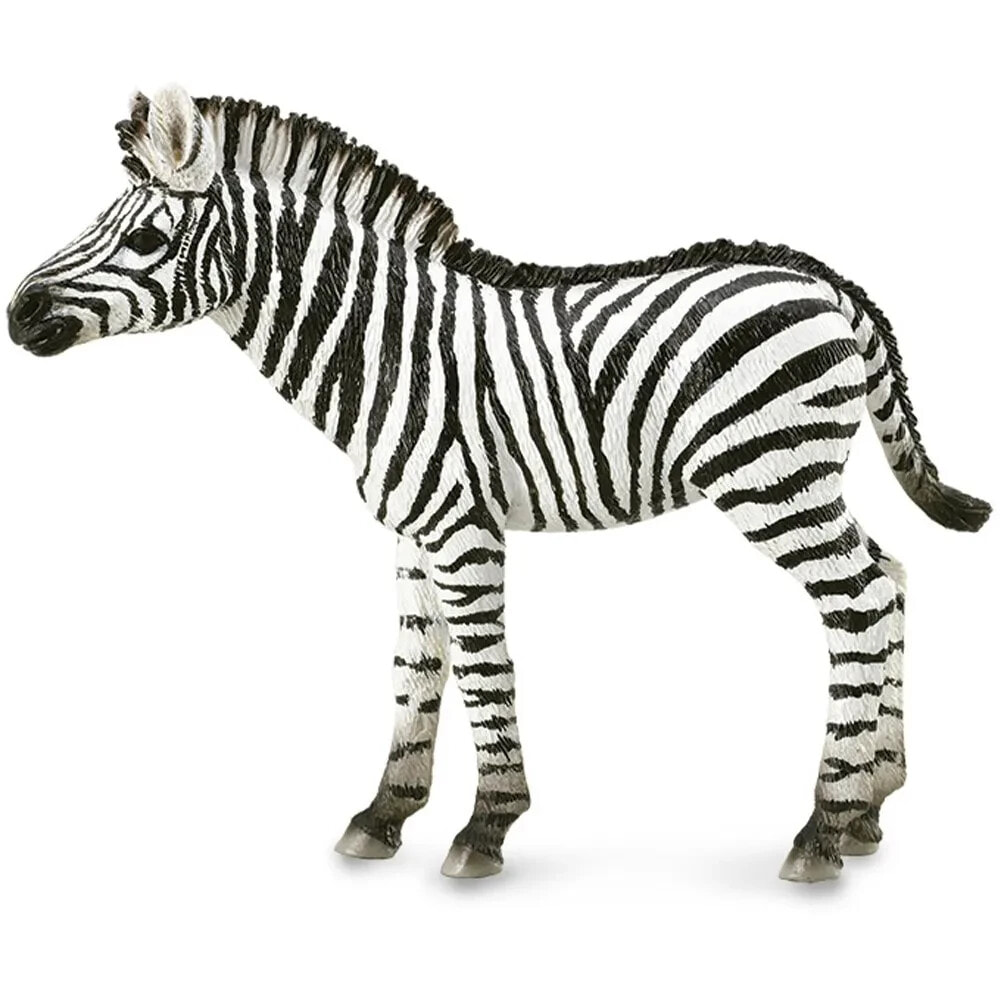 COLLECTA Zebra Foal Figure