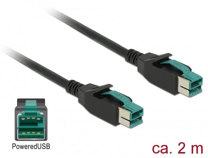 DeLOCK 85493 кабель питания Черный 2 m PoweredUSB