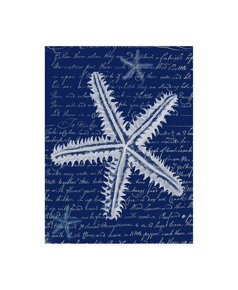 Trademark Global fab Funky White Starfish on Blue a Canvas Art - 27