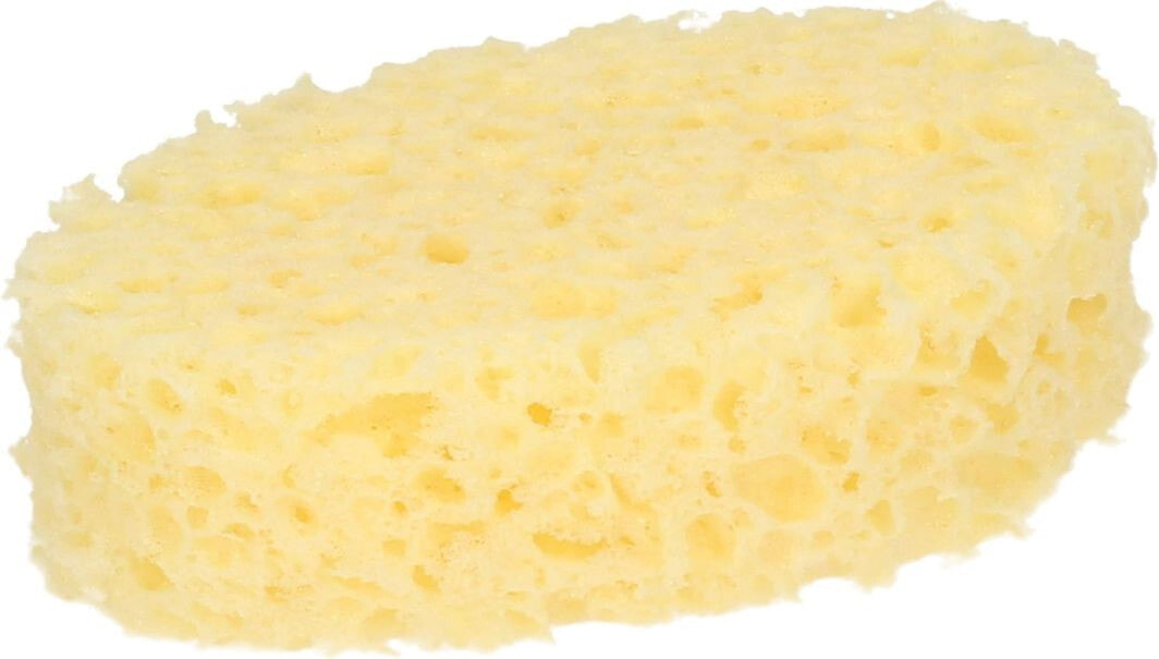 Natural oval sponge