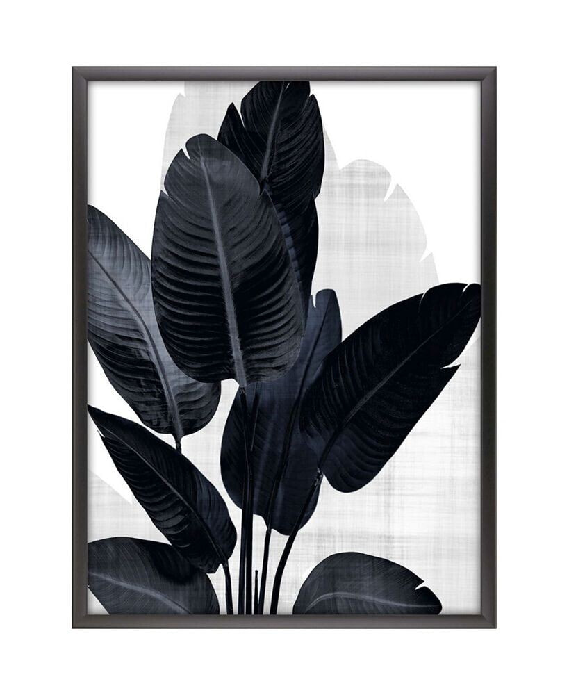 Paragon Picture Gallery palm Noir II Framed Art