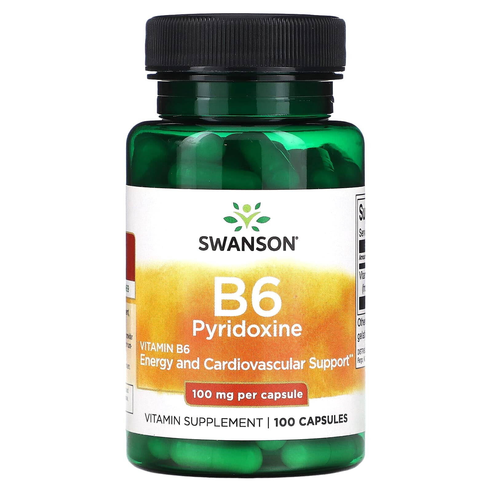B6 Pyridoxine, 100 mg, 250 Capsules