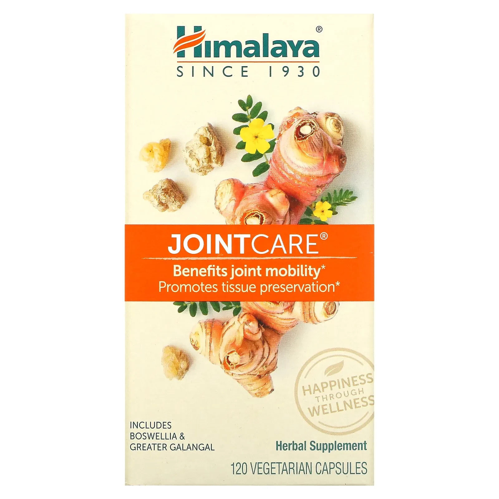 JointCare, 120 Vegetarian Capsules