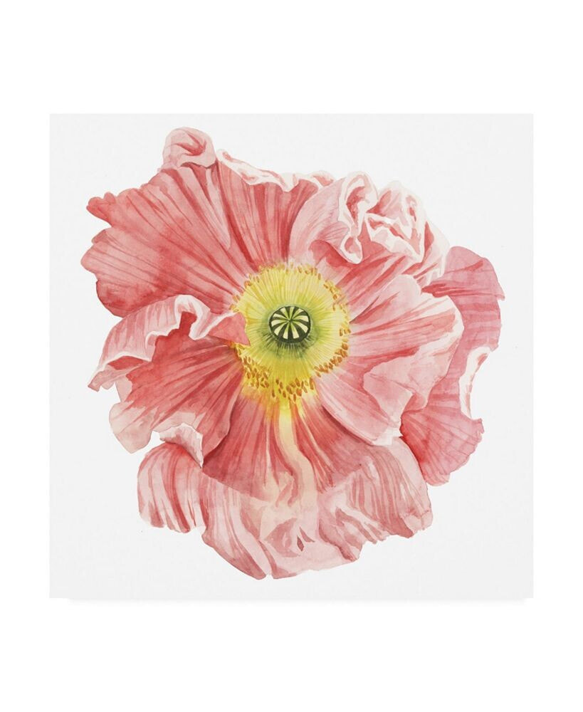 Trademark Global grace Popp Market Poppy I Canvas Art - 36.5