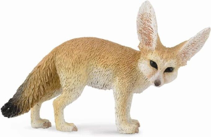 Figurka Collecta Lis Fennec (004-88607)