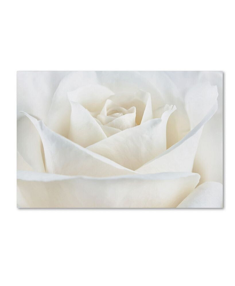 Trademark Global cora Niele 'Pure White Rose' Canvas Art - 19