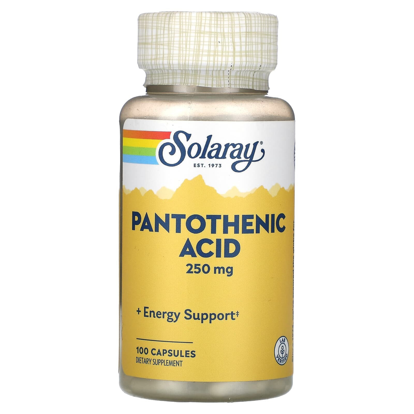 Panthothenic Acid, 250 mg, 100 Capsules