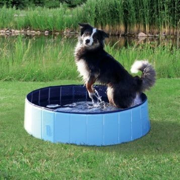 Trixie Dog Pool, 80 x 20 cm, Light Blue