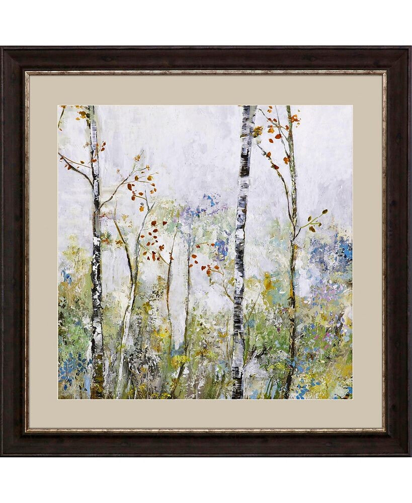 Paragon Picture Gallery birch Forest II Framed Art