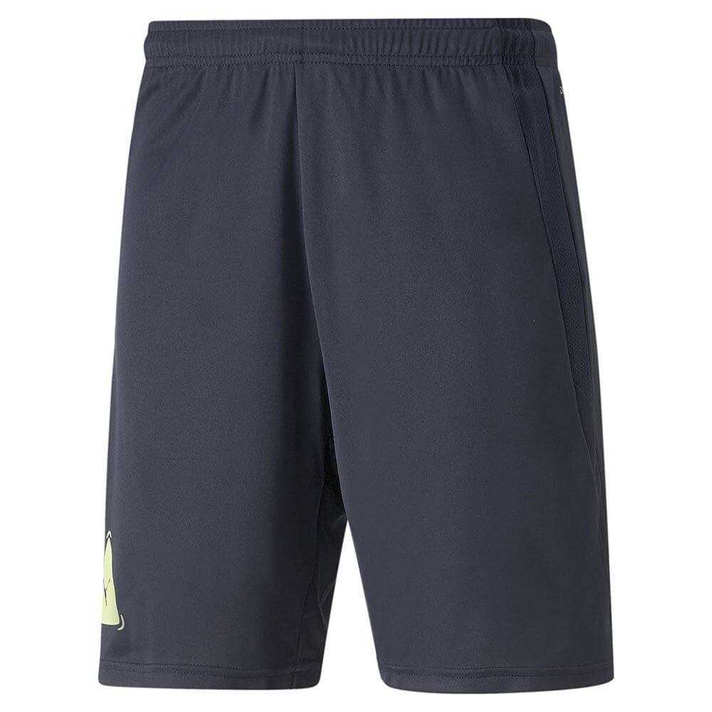 PUMA Fußball Park Shorts