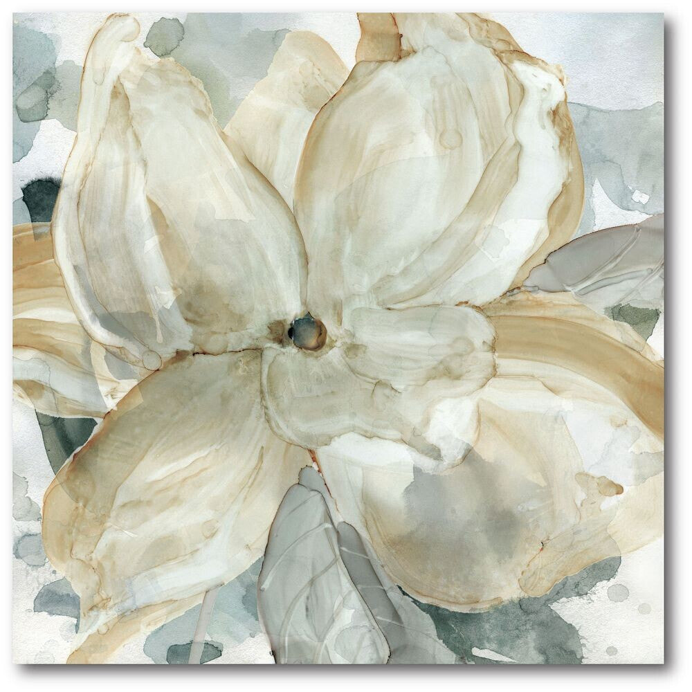 Courtside Market crean Petals Gallery-Wrapped Canvas Wall Art - 16