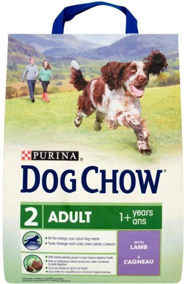 Purina Jagnięcina Dog Chow Adult 14kg