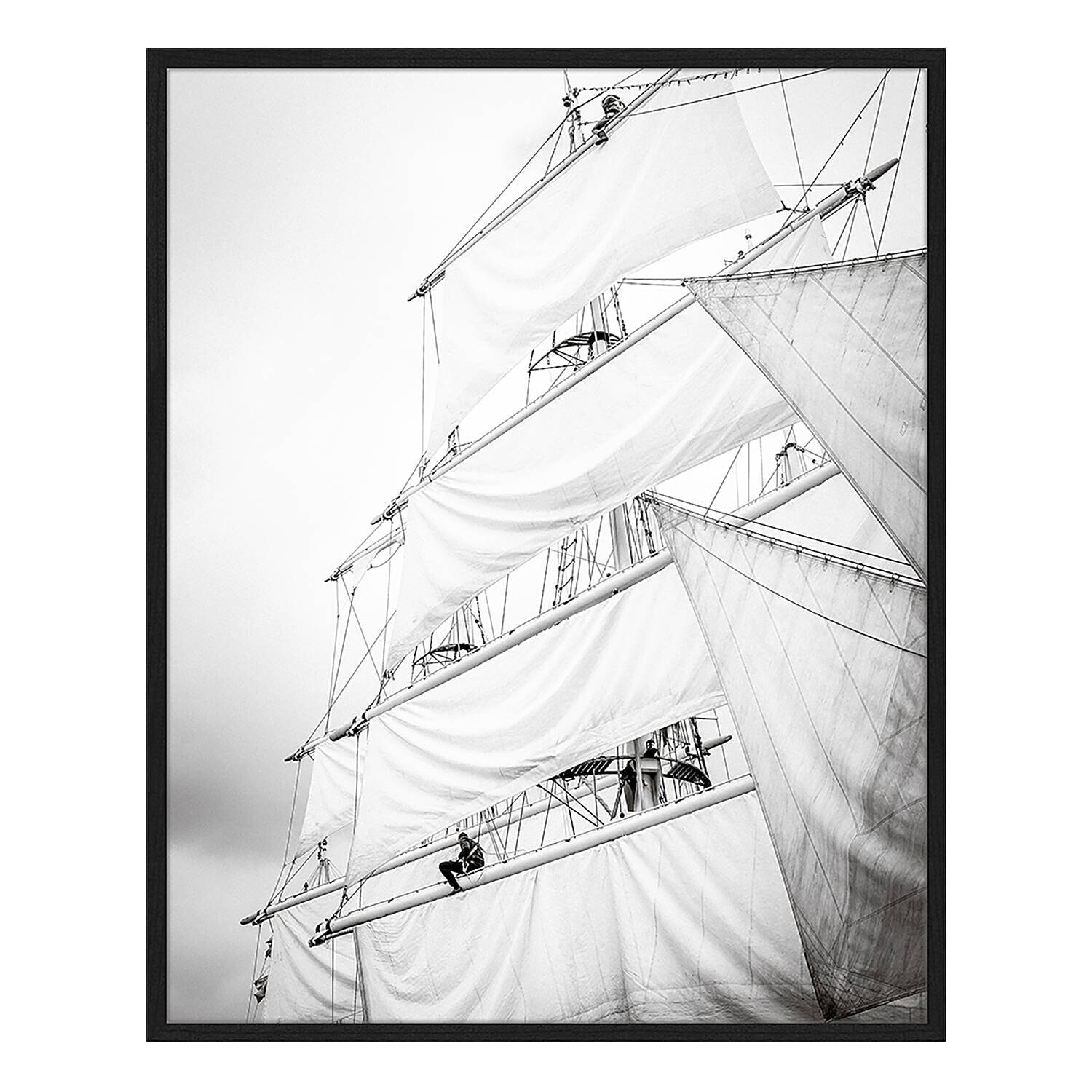 Bild Sailing Black & White