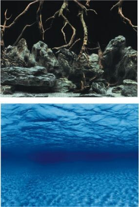 Декор для аквариума Aqua Nova TŁO L 100X50 ROOTS/WATER