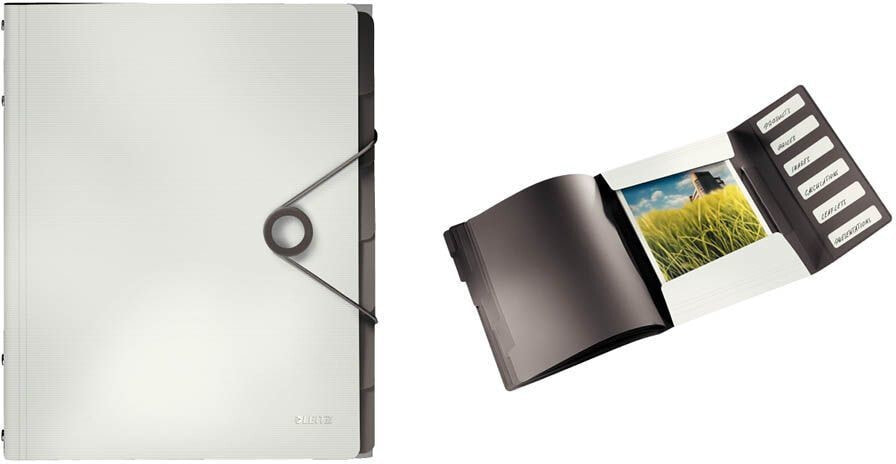 Leitz Folder with dividers, white (45691001)