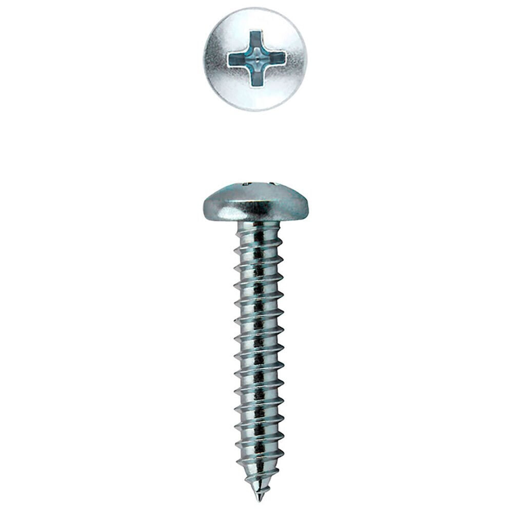 CELO 7981 4.8x60 Philips Sheet Metal Screw 250 Units