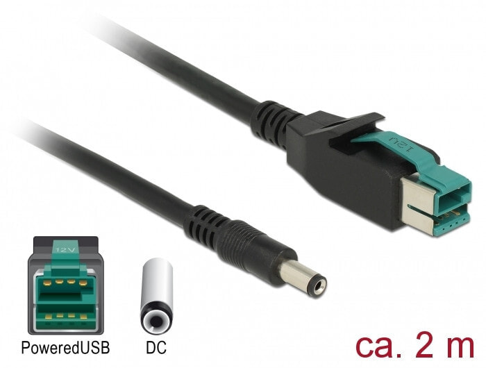 DeLOCK 85498 кабель питания Черный 2 m PoweredUSB