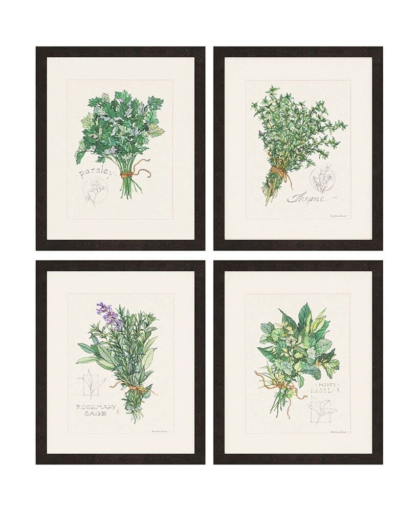 Paragon Picture Gallery paragon Herbs Framed Wall Art Set of 4, 23