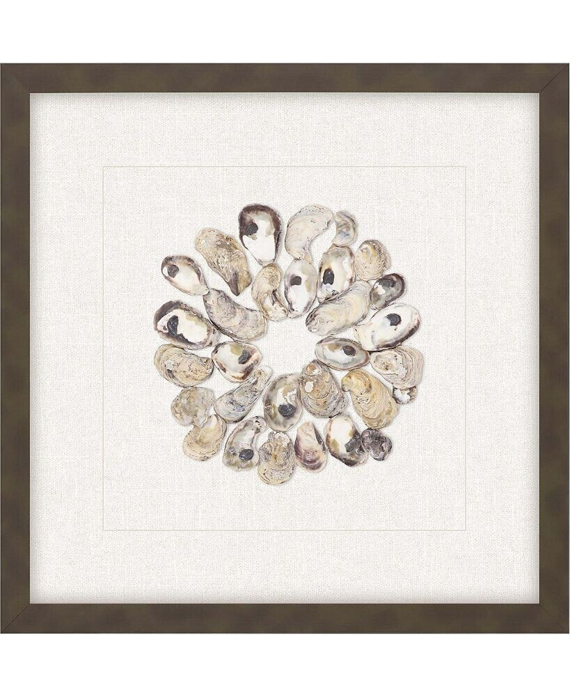 Paragon Picture Gallery oyster Shell II Framed Art