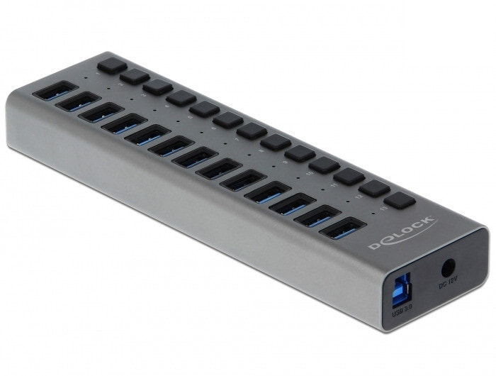 Delock 63738 - Externer SuperSpeed USB Hub mit 13 Ports+ Schalter