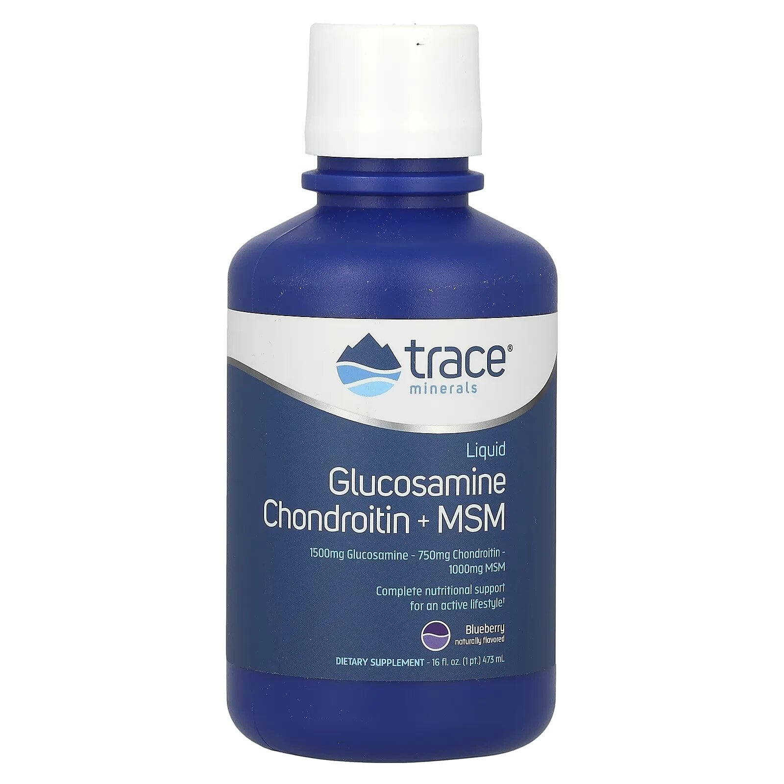 Liquid Glucosamine, Chondroitin + MSM, Blueberry, 16 fl oz (473 ml)