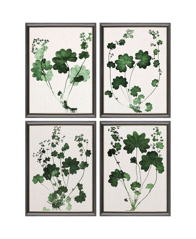 Paragon Picture Gallery forest Foliage Framed Art, Set of 4