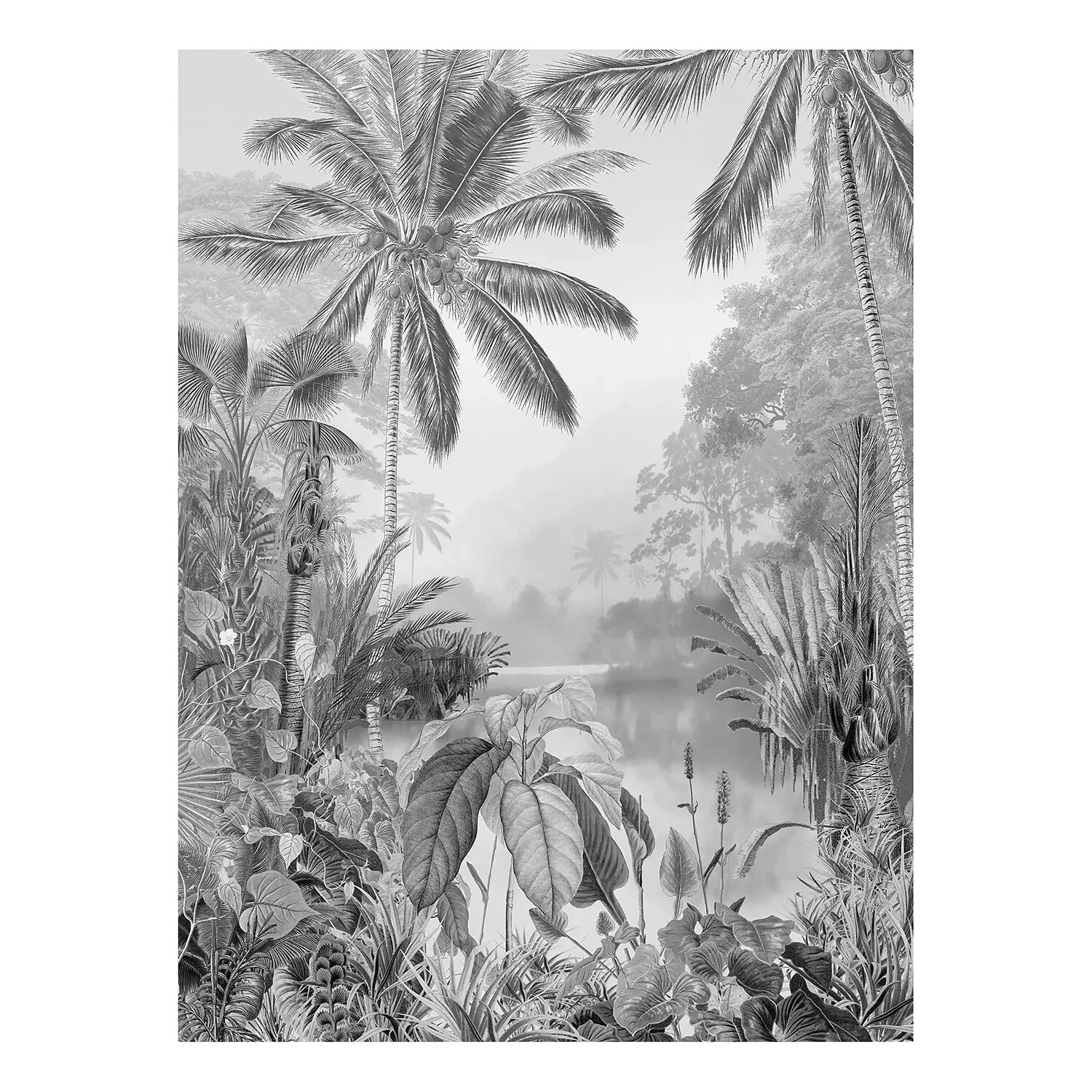 Fototapete Lac Tropical Black & White