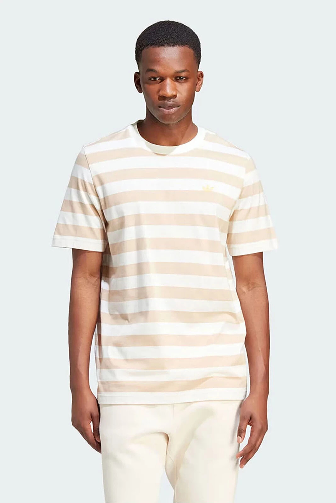Erkek Günlük T-Shirt Striped Tee Ir7587