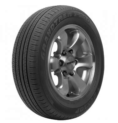 Шины летние Dunlop Grandtrek PT 30 DEMO 225/60 R18 100H