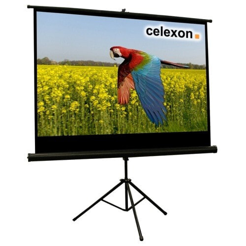 Celexon 1090260 проекционный экран 16:9