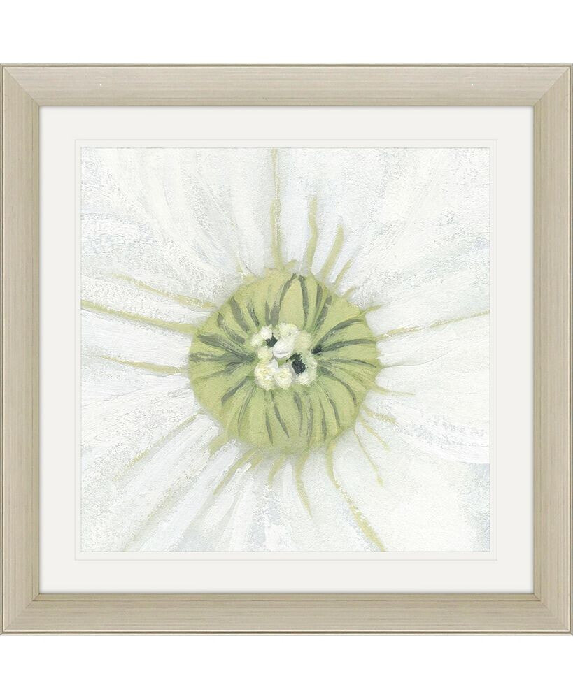 Paragon Picture Gallery floral Fresh - Center Framed Art