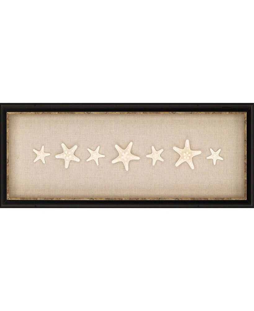 Paragon Picture Gallery paragon Knobby Starfish Framed Wall Art, 12
