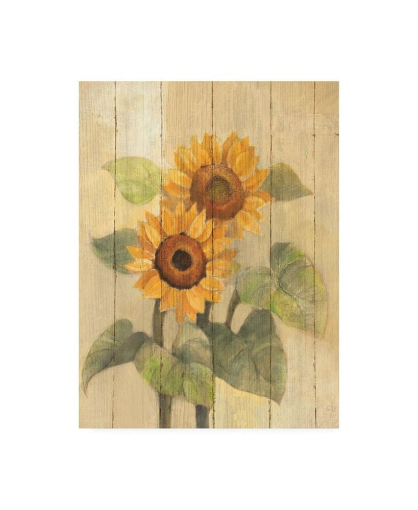 Trademark Global albena Hristova Summer Sunflowers I on Barn Board Canvas Art - 19.5