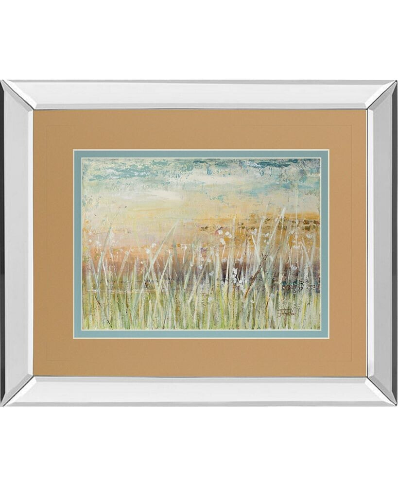 Classy Art muted Grass by Patricia Pinto Mirror Framed Print Wall Art, 34