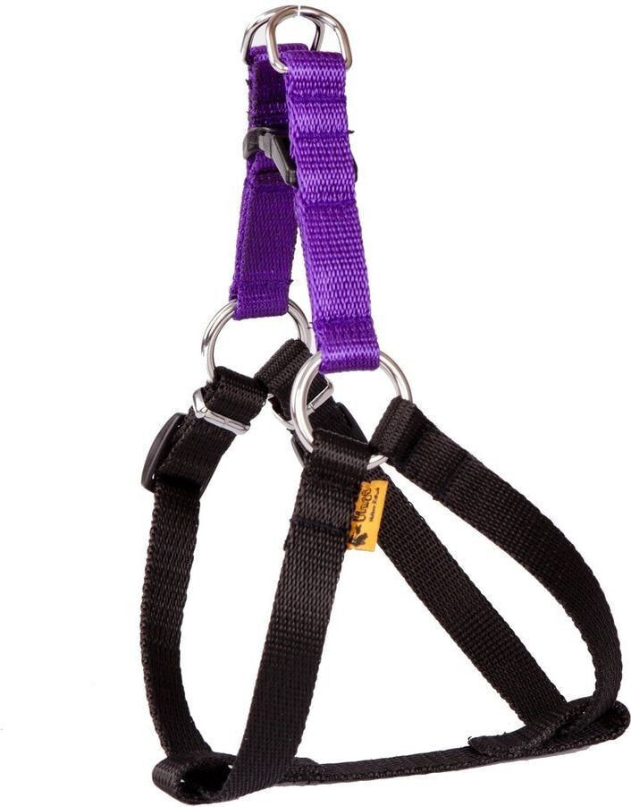 Dingo Fred Energy size 40 width 1 cm. Purple (94629)