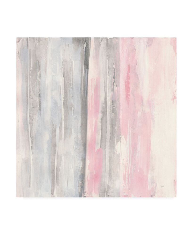 Trademark Global chris Paschke Whitewashed Blush I Pink Gray Canvas Art - 15.5