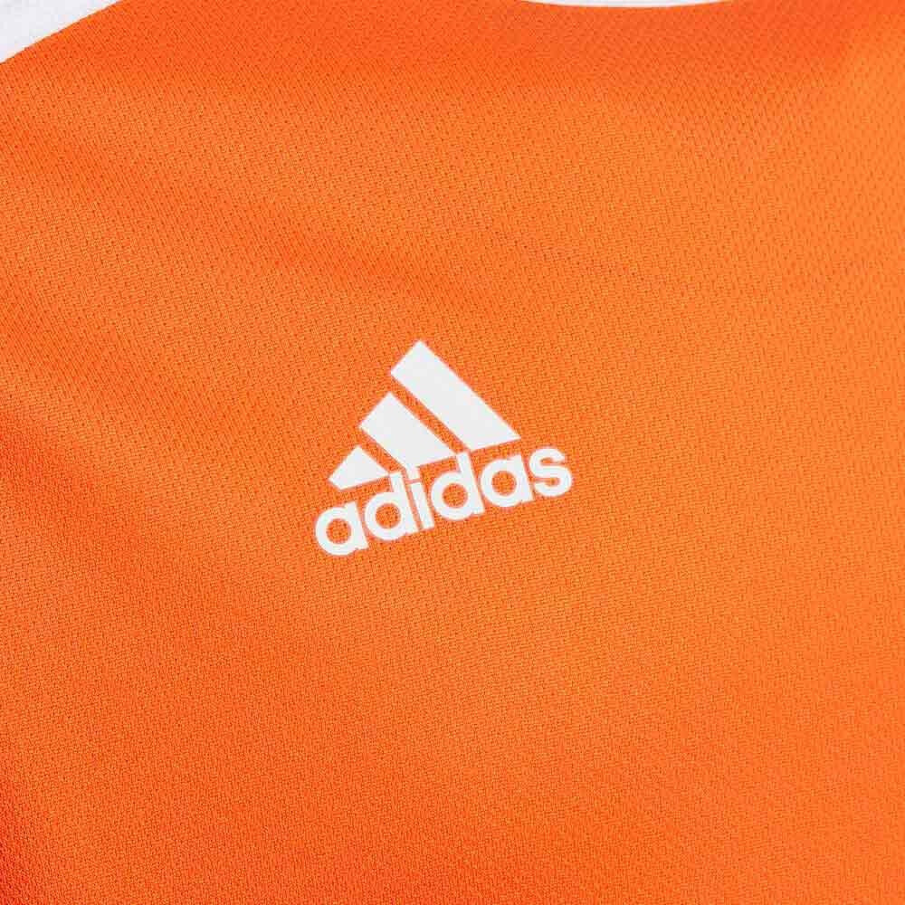 Адидас оптом. Techfit adidas оранжевая. Оранжевая футболка адидас. Адидас RMD r1. Оранжево белая футболка.