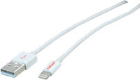 USB 0.15 m - 0.15 m - Lightning - USB A - White - Straight - Straight