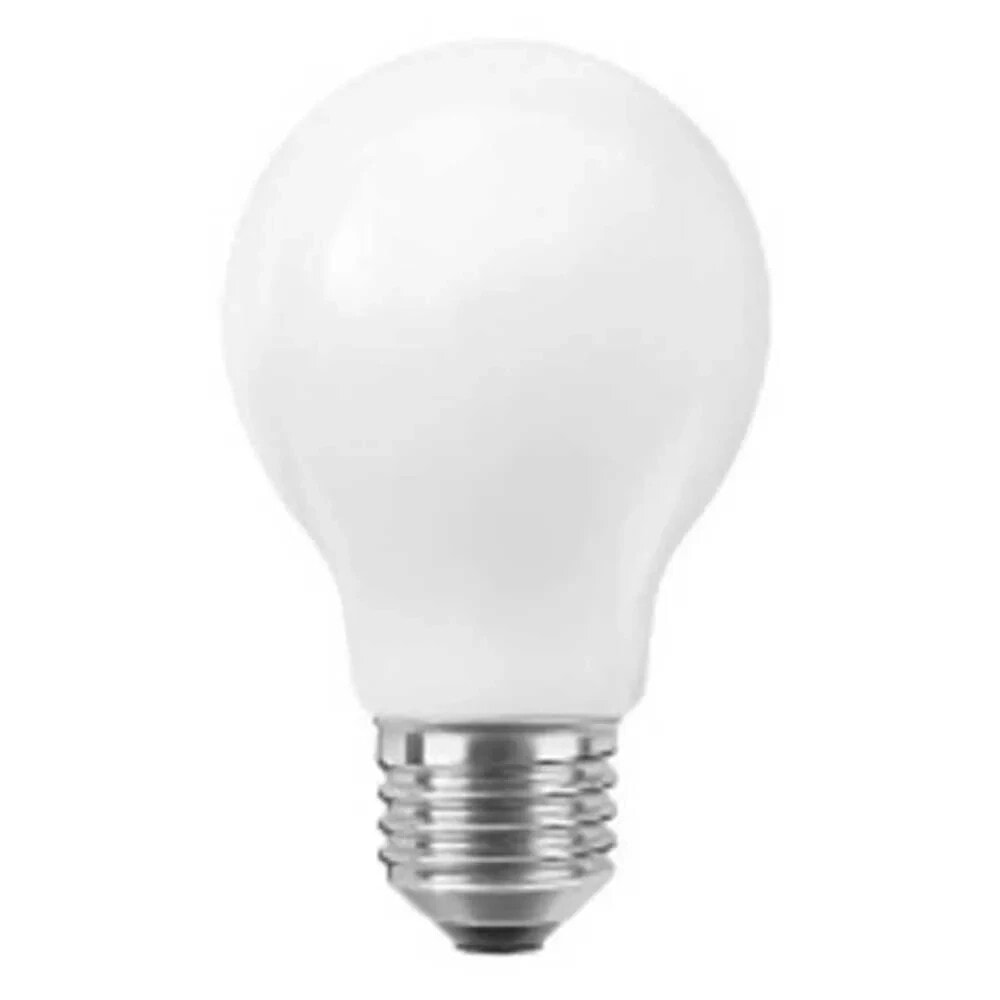 KODAK 30419339 Globe LED Bulb