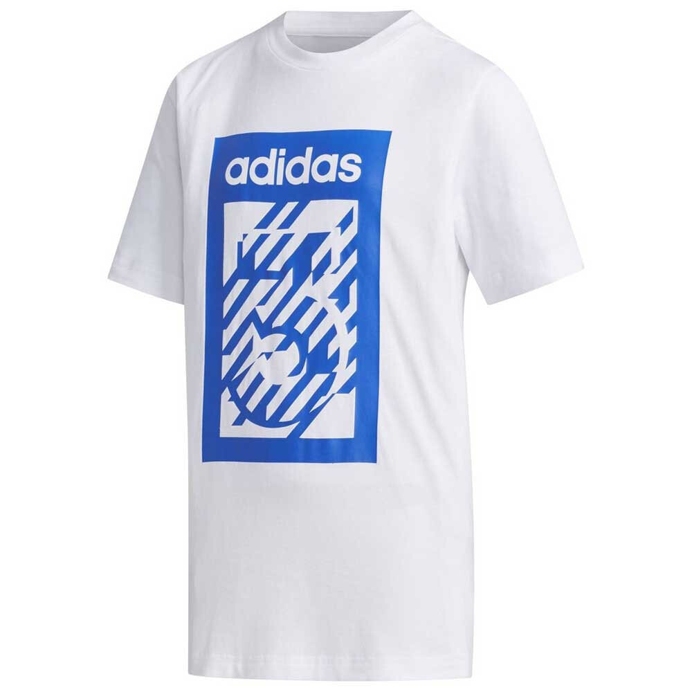 Adidas shop box shirt