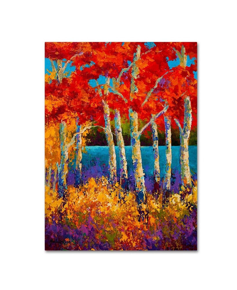 Trademark Global marion Rose 'Summers End' Canvas Art - 35