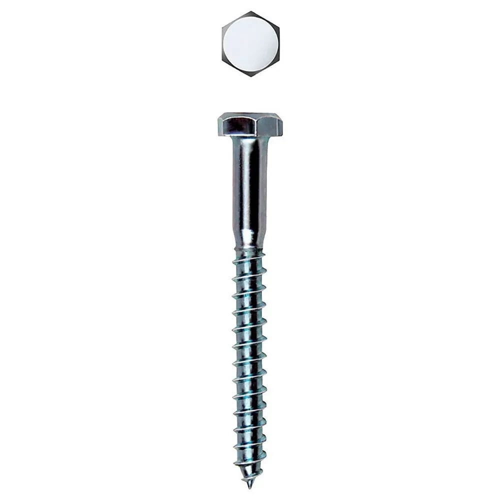 CELO DIN 571 6X100 ZINC Hexagonal Lag Screw 200 Units