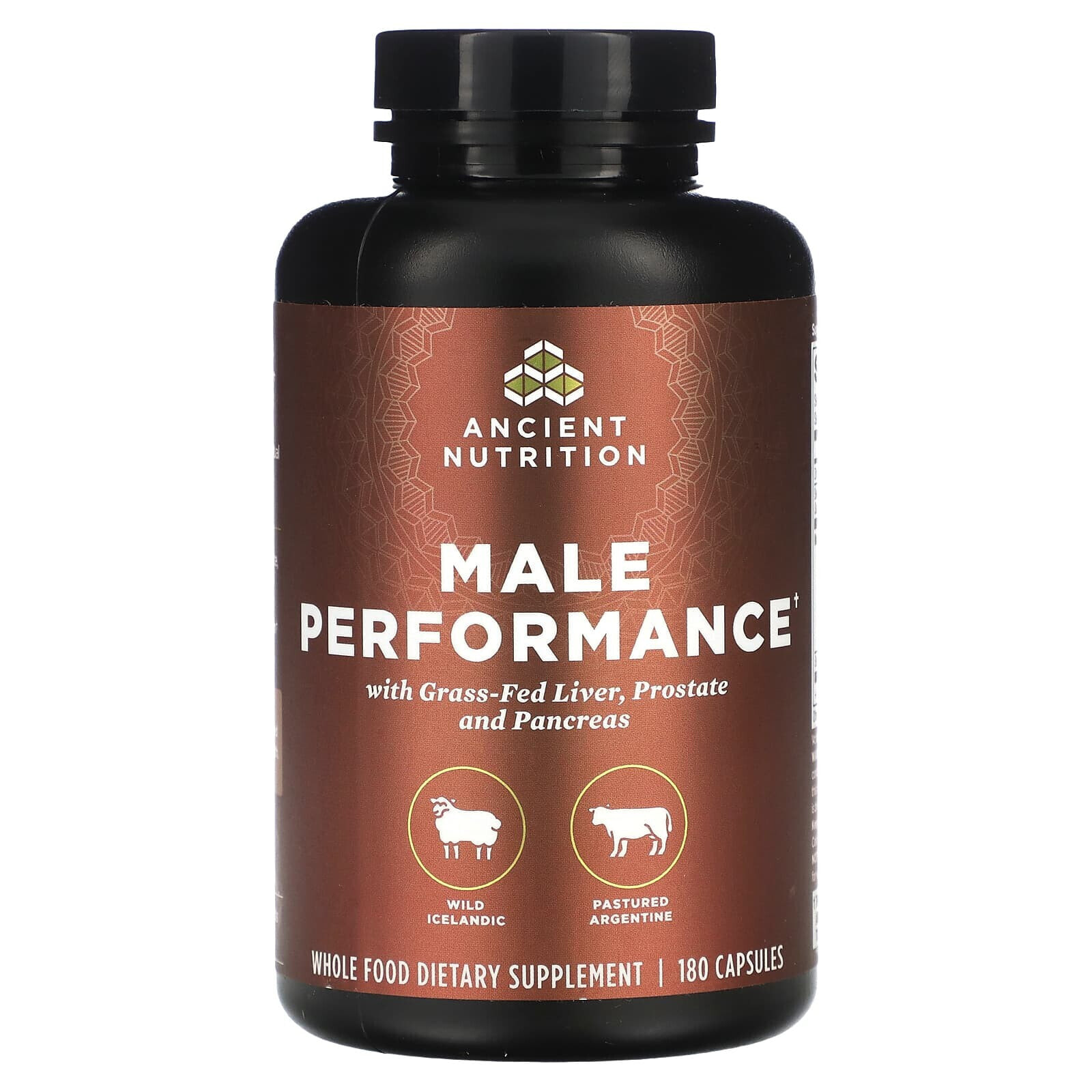 Dr. Axe / Ancient Nutrition, Male Performance, 180 Capsules