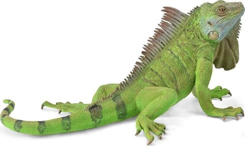 Figurka Collecta COLLECTA IGUANA