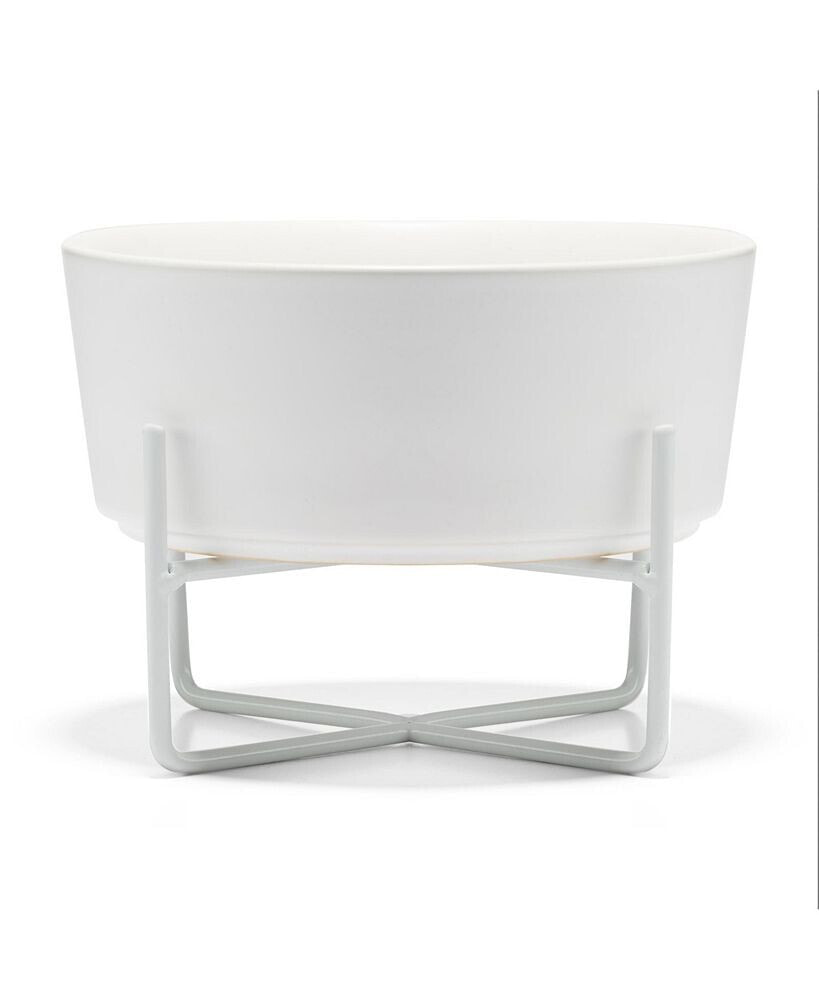 Waggo dog Simple Solid Bowl and Stand - Matte White - Small
