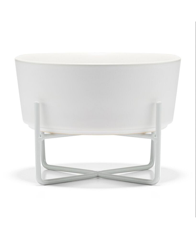 Dog Simple Solid Bowl and Stand - Matte White - Small