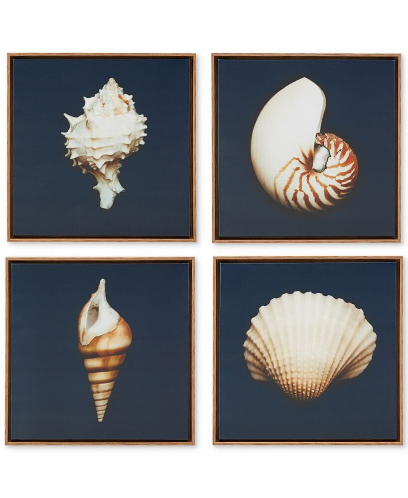 Madison Park ocean Seashells 4-Pc. Framed Canvas Print Set