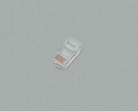 BKL Electronic 142141 - 4-pin 4P/4C (RJ10) - Transparent - Male - Straight - Plastic - Gold