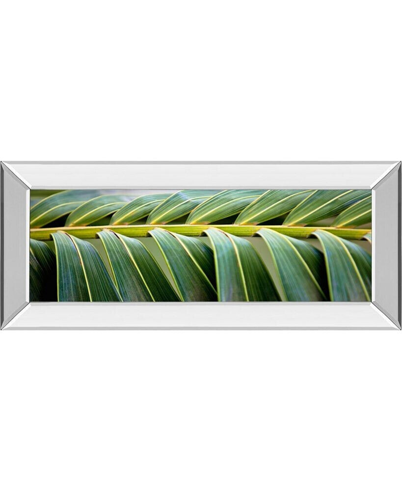 Classy Art palma I by Susan Bryant Mirror Framed Print Wall Art - 18