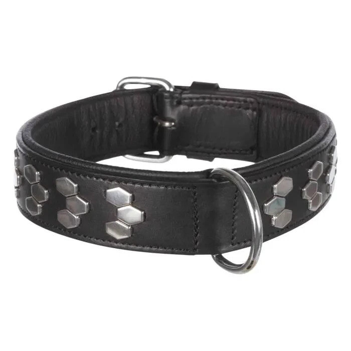 Aktives TRIXIE-Halsband Stilisiertes Design Leder Gre XL 6575 cm Schwarz